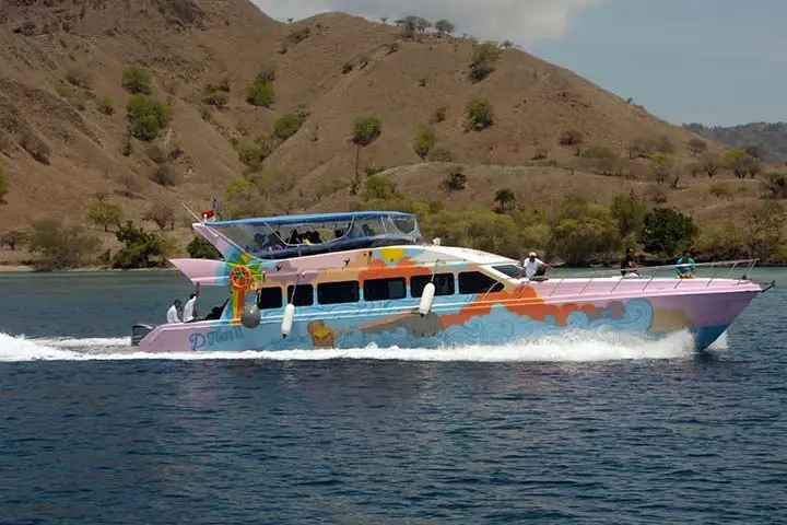 komodo day tour