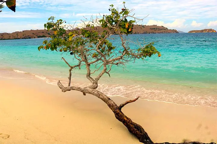 komodo private tour