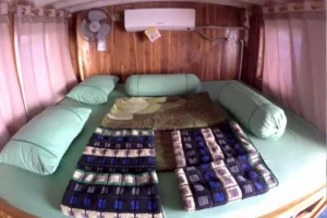 standard boat