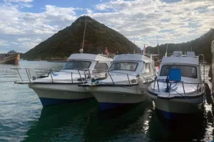 speedboat rental komodo tour