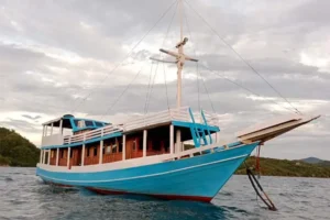 Komodo Boat Charter: standard boat