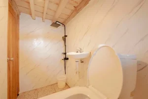 toilet