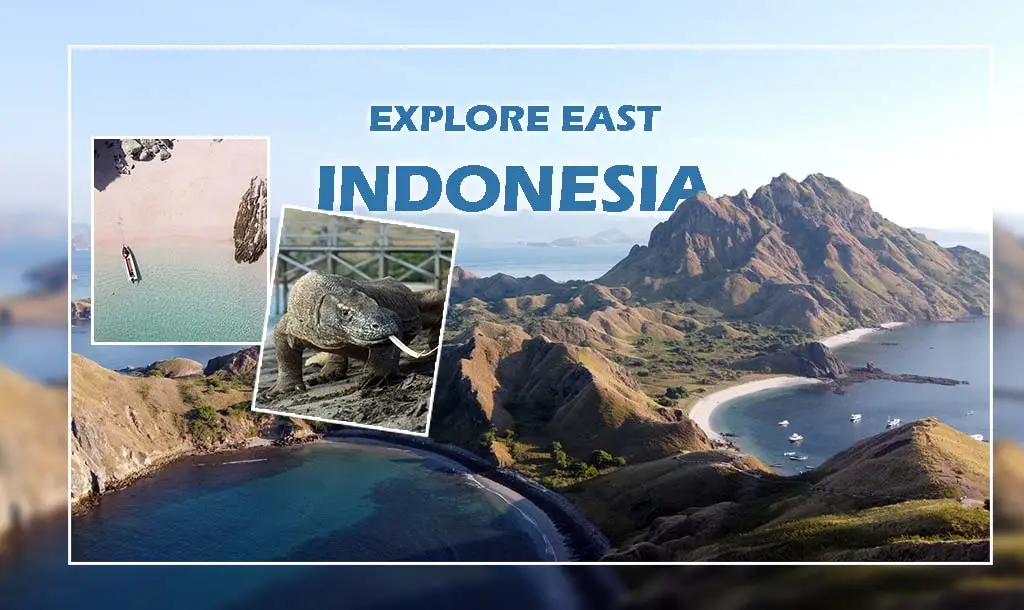 komodo island tour packages