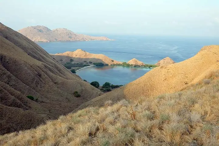 komodo island tour