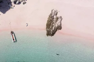 long pink beach