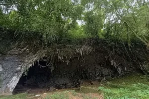hobbit cave: homo floresiensis