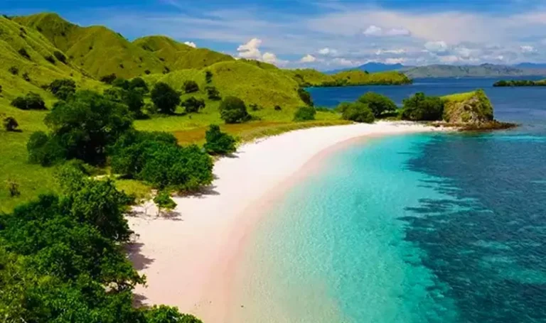 pink beach