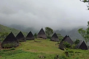 wae rebo traditional village