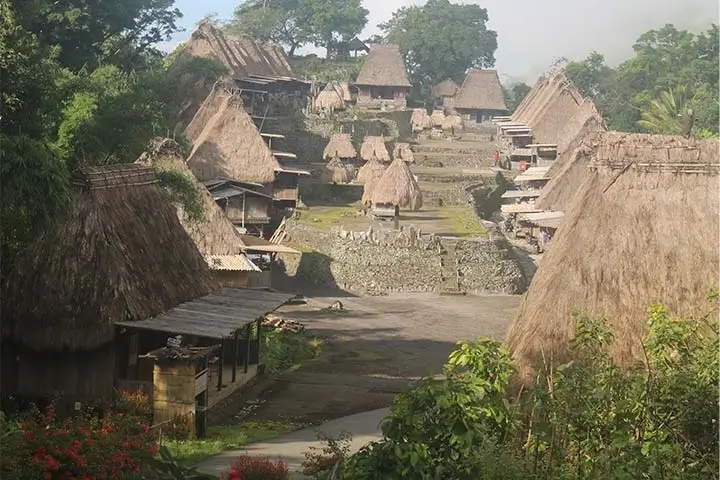 Flores Overland Tour Packages: Bena Village