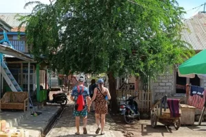 komodo village: Komodo Island tour from cruise ship