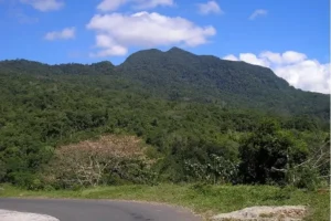Mt. Mbeliling in west Flores
