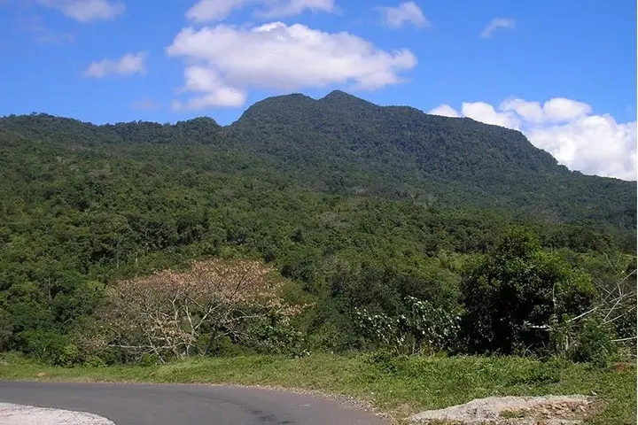 Mt. Mbeliling in west Flores