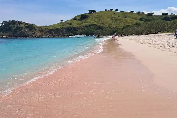 Pink Beach in Komodo