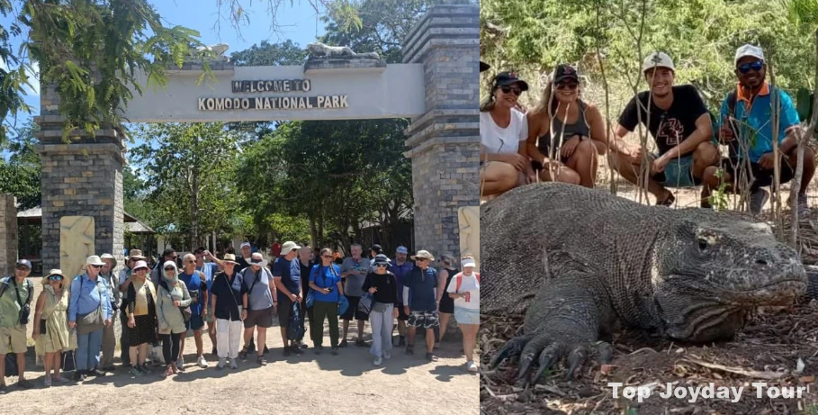 Komodo National Park Boat Tour