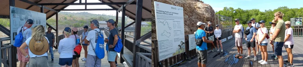 best sailing komodo tour