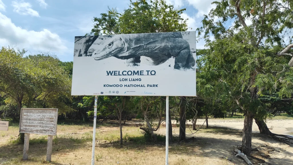 komodo national park trip package