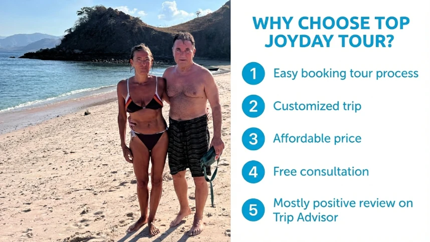why choose top joyday tour