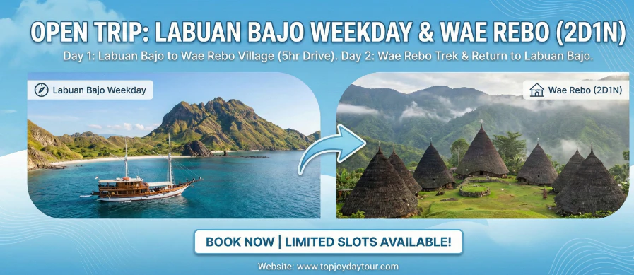 Komodo Island Tour | Trip Labuan Bajo | Flores Tour Indonesia