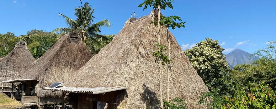 aimere flores tours itinerary